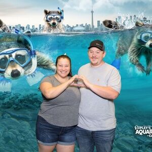 Meet your Posher, Abigail